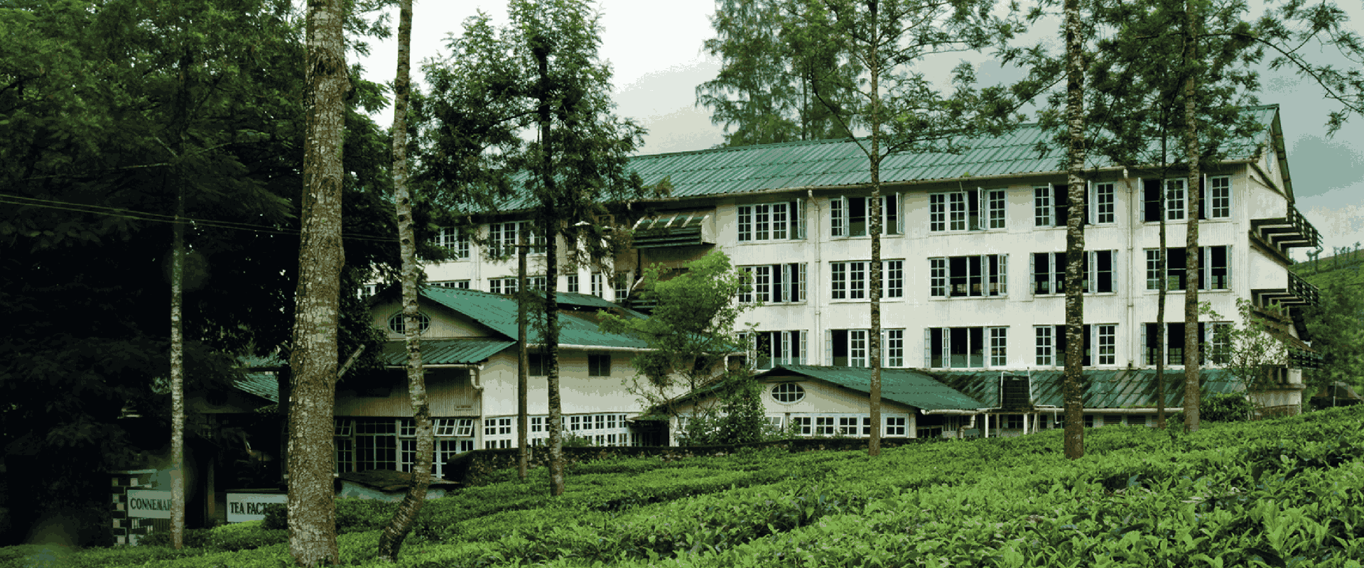 Panoramic View Escapes